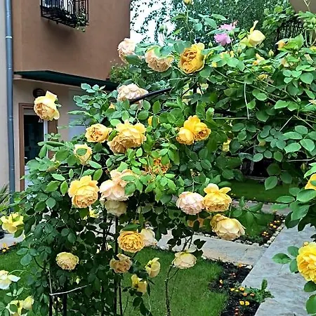 Complex Brigantina Слънчев бряг